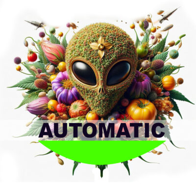 Automatic