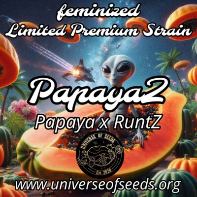 Papaya + Runtz