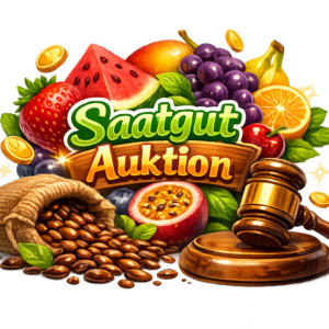 Auktion